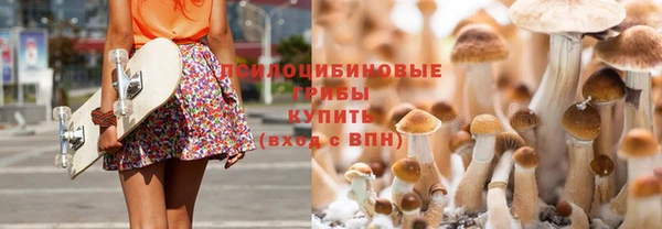 прущая мука Белоозёрский
