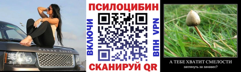 Галлюциногенные грибы Psilocybe  Купить закладки  Верхняя Тура 
